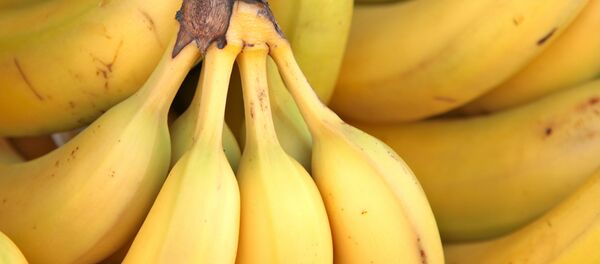 Бананы Бананы - Sputnik Молдова