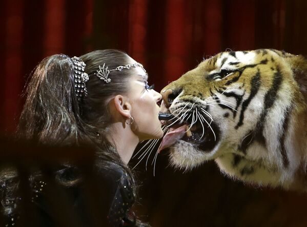 Evoluția lui Carmen Zander cu tigrul la Festivalul Internațional de Circ, Monaco - Sputnik Moldova