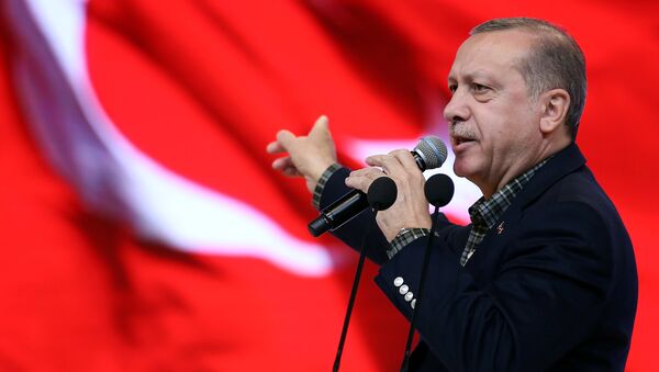 Turkish President Erdogan makes a speech during a meeting in Istanbul - Sputnik Moldova-România