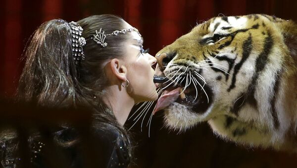 Выступление Кармен Зандер с тигром на Международном цирковом фестивале в Монако - Sputnik Молдова