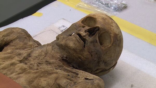 В Швейцарии показали мумифицированного родственника Бориса Джонсона - Sputnik Молдова
