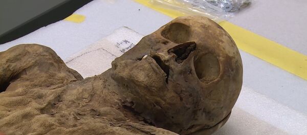 В Швейцарии показали мумифицированного родственника Бориса Джонсона - Sputnik Moldova