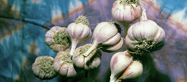Чеснок - Sputnik Молдова