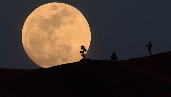A person poses for a photo as the moon rises over Griffith Park in Los Angeles, California, on January 30, 2018 - Sputnik Moldova-România