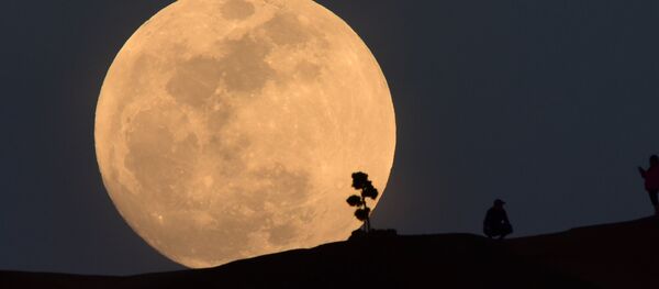 A person poses for a photo as the moon rises over Griffith Park in Los Angeles, California, on January 30, 2018 - Sputnik Moldova-România