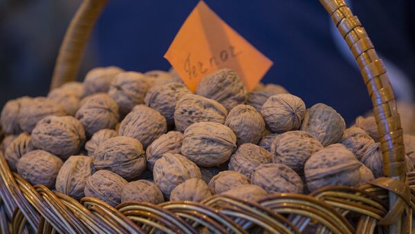 Грецкие орехи, архивное фото. - Sputnik Молдова