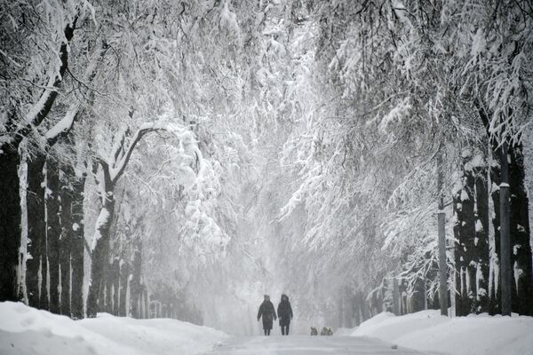 Заснеженная аллея на Воробьевых горах во время снегопада - Sputnik Молдова