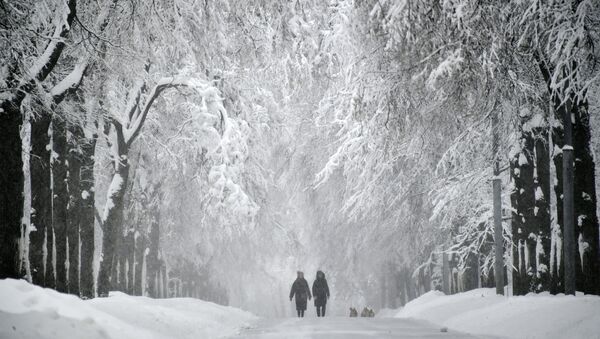 Заснеженная аллея на Воробьевых горах во время снегопада - Sputnik Moldova-România