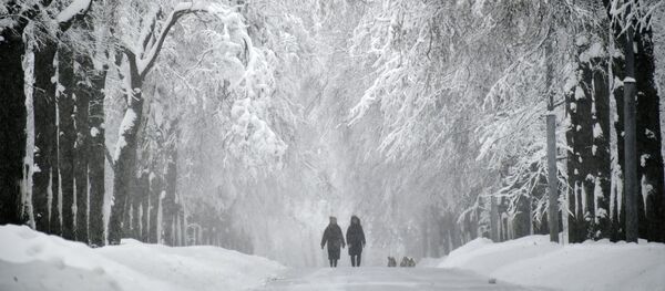 Заснеженная аллея на Воробьевых горах во время снегопада - Sputnik Moldova-România