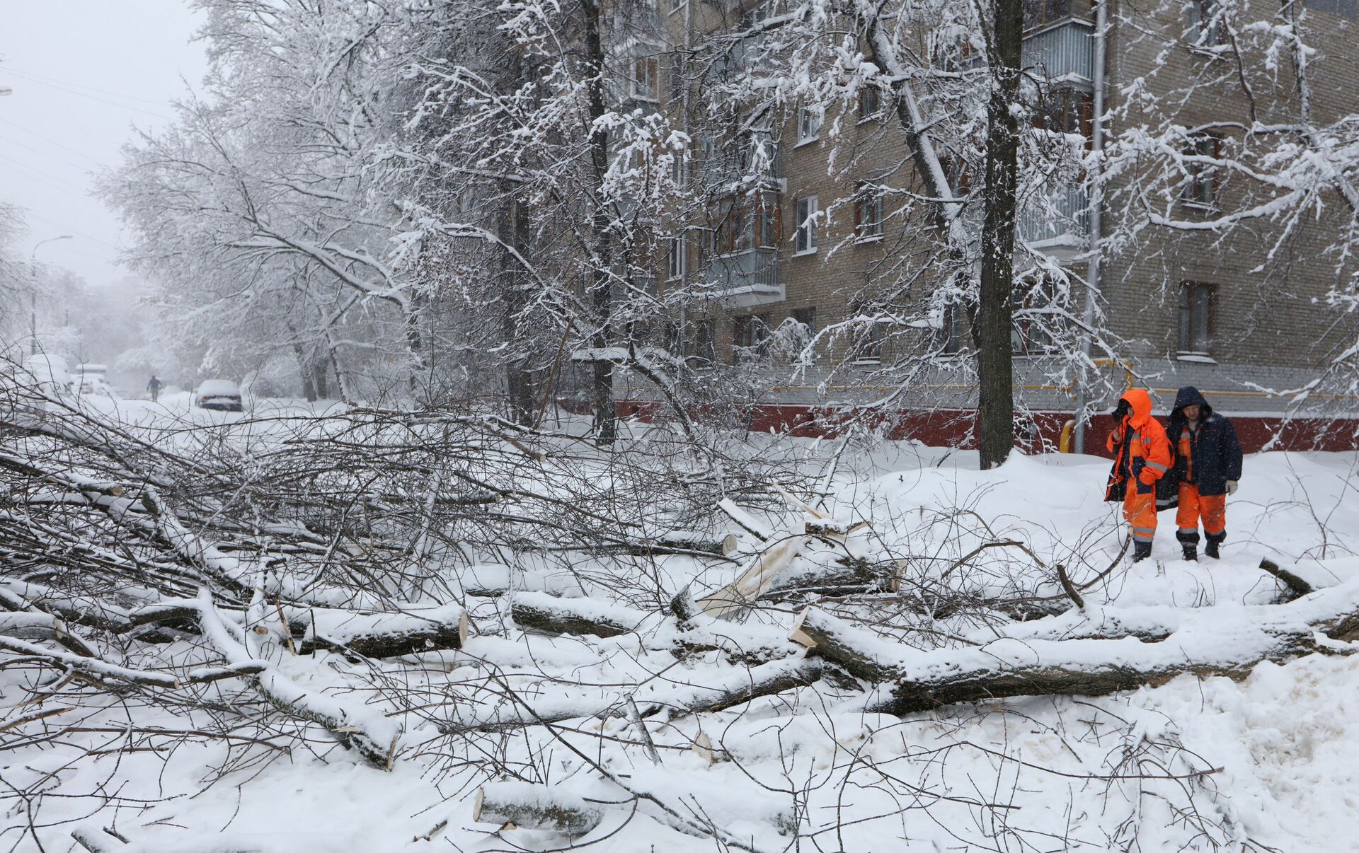 4 декабря снег. Снегопад в Москве деревья. Сильный снегопад повалил деревья в Москве. Последствия непогоды в Москве. Сильный снегопад в Москве.