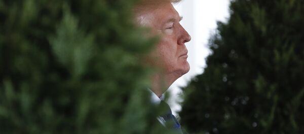 Donald Trump Donald Trump - Sputnik Moldova-România