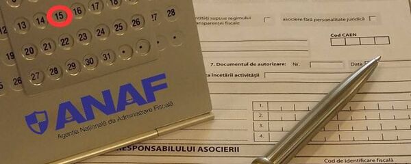 Declarația anuală de venit - Sputnik Moldova-România