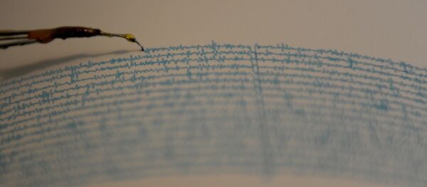 View of a seismograph. (File) View of a seismograph. (File) - Sputnik Moldova