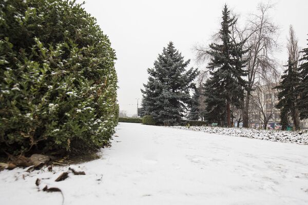 Снег в Кишиневе, архивное фото - Sputnik Молдова