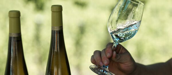 Винодельческое хозяйство UPPA Winery в Крыму - Sputnik Молдова