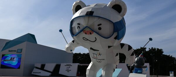 Олимпиада 2018. Олимпийский парк в Канныне - Sputnik Moldova-România