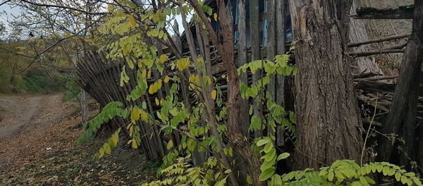 Село, Sat Село, Sat - Sputnik Moldova-România