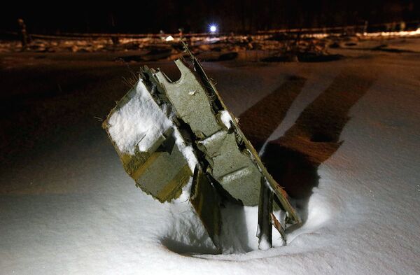 Часть самолета Ан-148 Саратовских авиалиний, разбившегося после взлета из московского аэропорта Домодедово - Sputnik Молдова