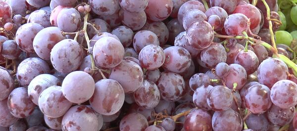 Виноград Виноград - Sputnik Молдова