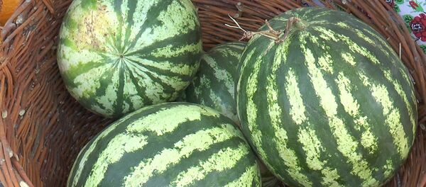 Арбуз - Sputnik Молдова