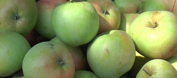 Яблоки Яблоки - Sputnik Moldova