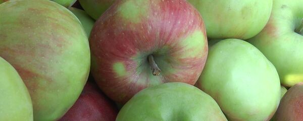 Яблоки - Sputnik Moldova