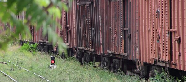 Товарные вагоны - Sputnik Молдова