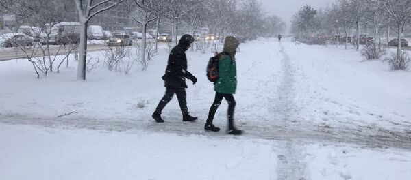 Снегопад в Кишиневе - Sputnik Молдова