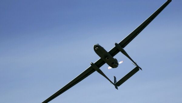 An Israeli army Heron unmanned drone aircraft - Sputnik Moldova-România