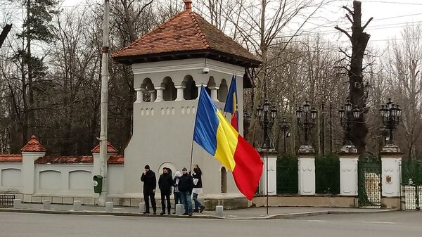 Protest în fața Palatului Cotroceni - Sputnik Moldova-România