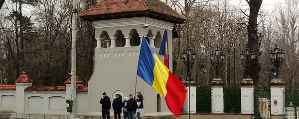 Protest în fața Palatului Cotroceni - Sputnik Moldova-România