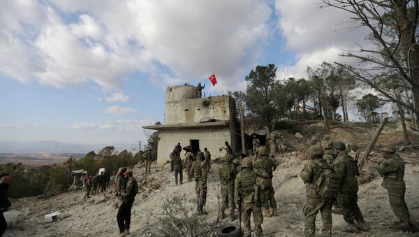 Armata turcă din zona Afrin - Sputnik Moldova-România