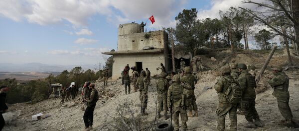 Armata turcă din zona Afrin - Sputnik Moldova-România