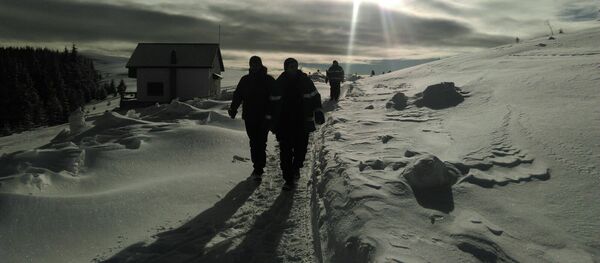 Jandarmeria Română Jandarmeria Română - Sputnik Moldova-România