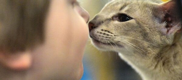 Ребенок с кошкой породы ориентальная на Международной выставке кошек Кэтсбург-2015 в Москве Ребенок с кошкой породы ориентальная на Международной выставке кошек Кэтсбург-2015 в Москве - Sputnik Молдова