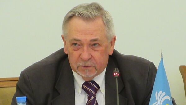 Директор департамента экономического сотрудничества Исполнительного комитета СНГ Андрей Кушниренко - Sputnik Moldova