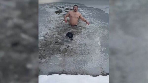 Канадец спас провалившуюся под лед собаку - Sputnik Молдова