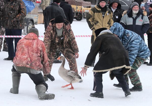 Люди ловят гуся на седьмом всероссийском турнире Гусиные бои в посёлке Дубна Тульской области - Sputnik Молдова