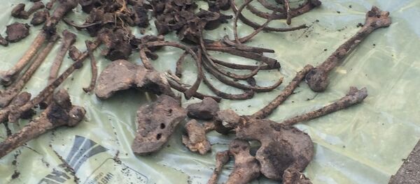 crima преступление - Sputnik Moldova