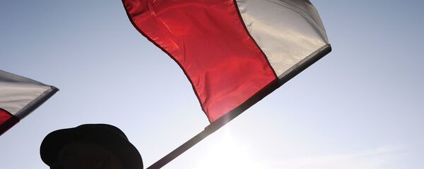 波兰国家选举委员会公布总统选举第一轮投票结果 - Sputnik Moldova