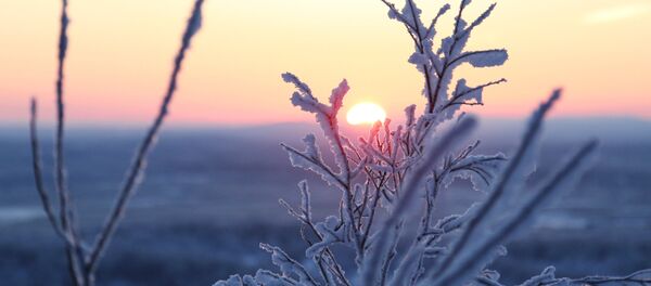 hiver hiver - Sputnik Moldova