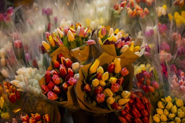 Тюльпаны - неофициальный символ главного праздника март-месяца - Sputnik Молдова