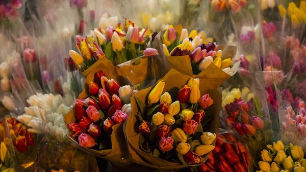 Цветы, 8 марта  - Sputnik Молдова