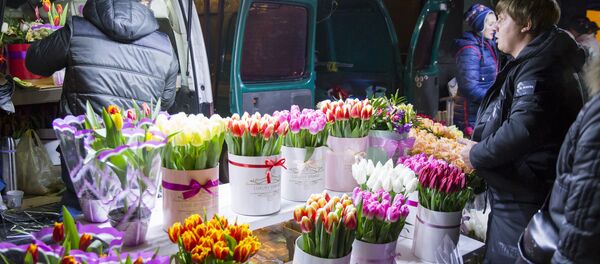 Цветы, 8 марта - Sputnik Moldova