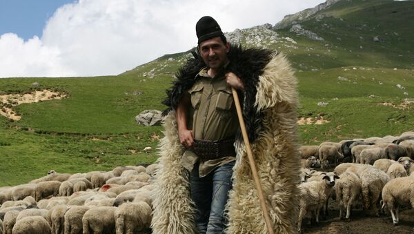Crescător de oi, România - Sputnik Moldova