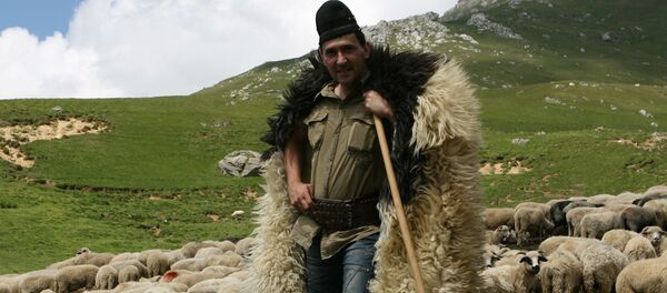 Crescător de oi, România - Sputnik Moldova-România