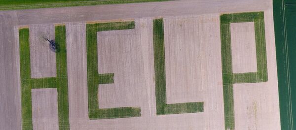 This aerial picture shows the word HELP formed by a farmer in his wheat field in Athee-sur-Cher near Tours, central France, to denounce the crisis in France's agricultural sector - Sputnik Moldova-România