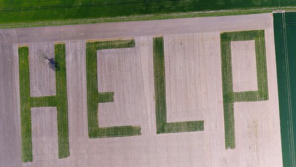 This aerial picture shows the word HELP formed by a farmer in his wheat field in Athee-sur-Cher near Tours, central France, to denounce the crisis in France's agricultural sector - Sputnik Moldova-România