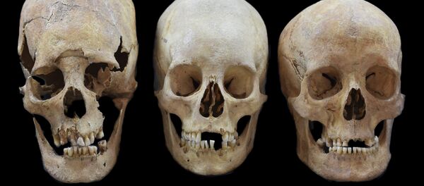 Cranii deformate ale femeilor hune găsite într-un sit arheologic din Bavaria din secolul V-VI - Sputnik Moldova-România