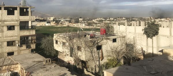 Восточная Гута - пригород Дамаска - Sputnik Молдова